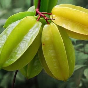 Meet your Posher, Geraldine